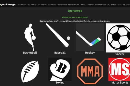 SPORTSURGE